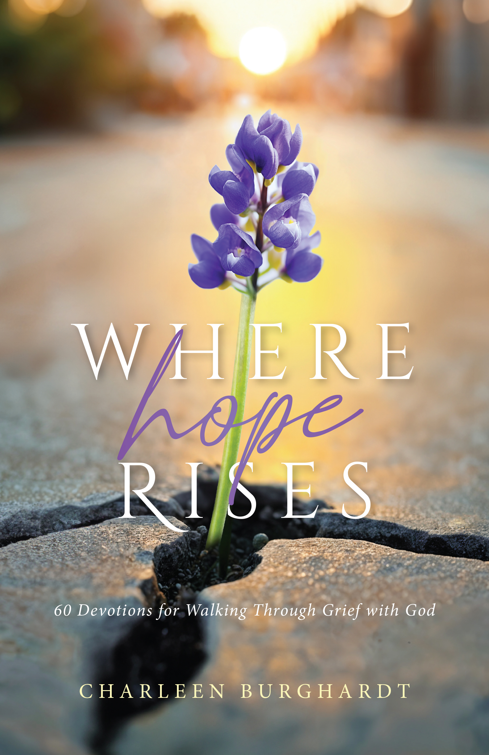 Where hope Rises